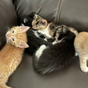 Meet your Posher, Maria